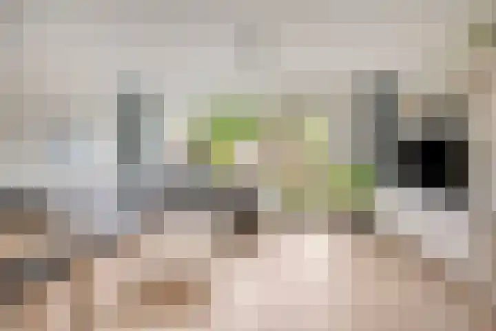 Rubenslaan 15 Bergschenhoek thumbnail 6