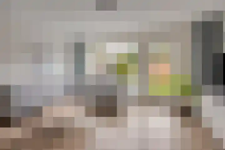 Rubenslaan 15 Bergschenhoek thumbnail 7