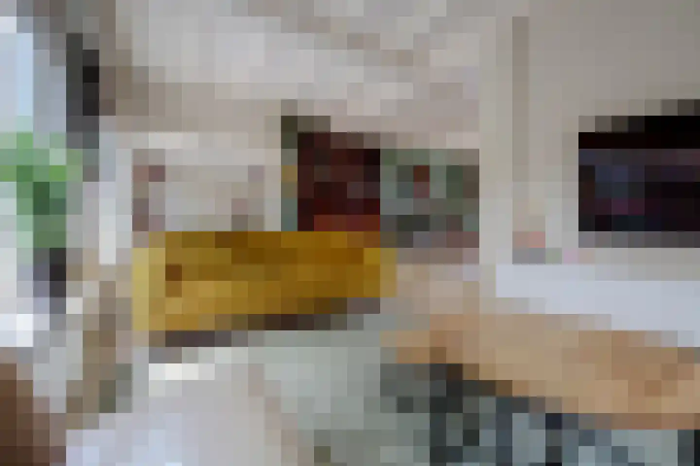 Rubenslaan 15 Drunen foto 2