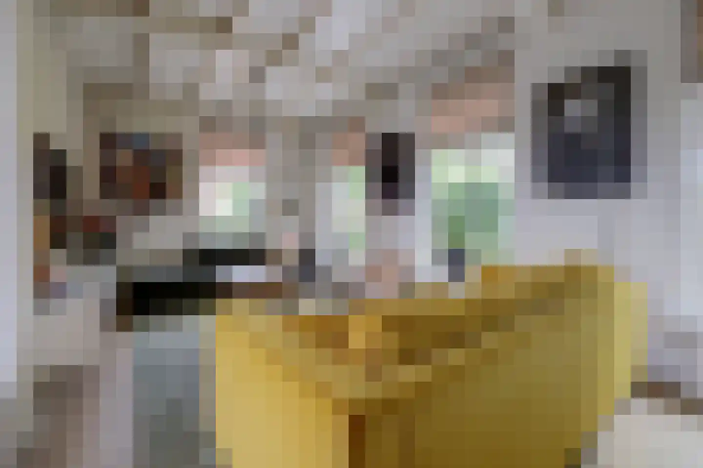 Rubenslaan 15 Drunen thumbnail 4