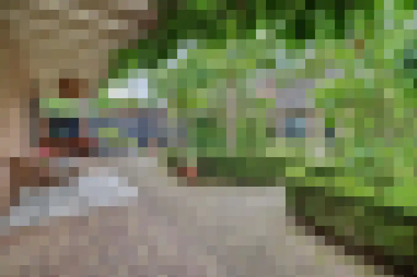 Rubenslaan 15 Drunen thumbnail 45