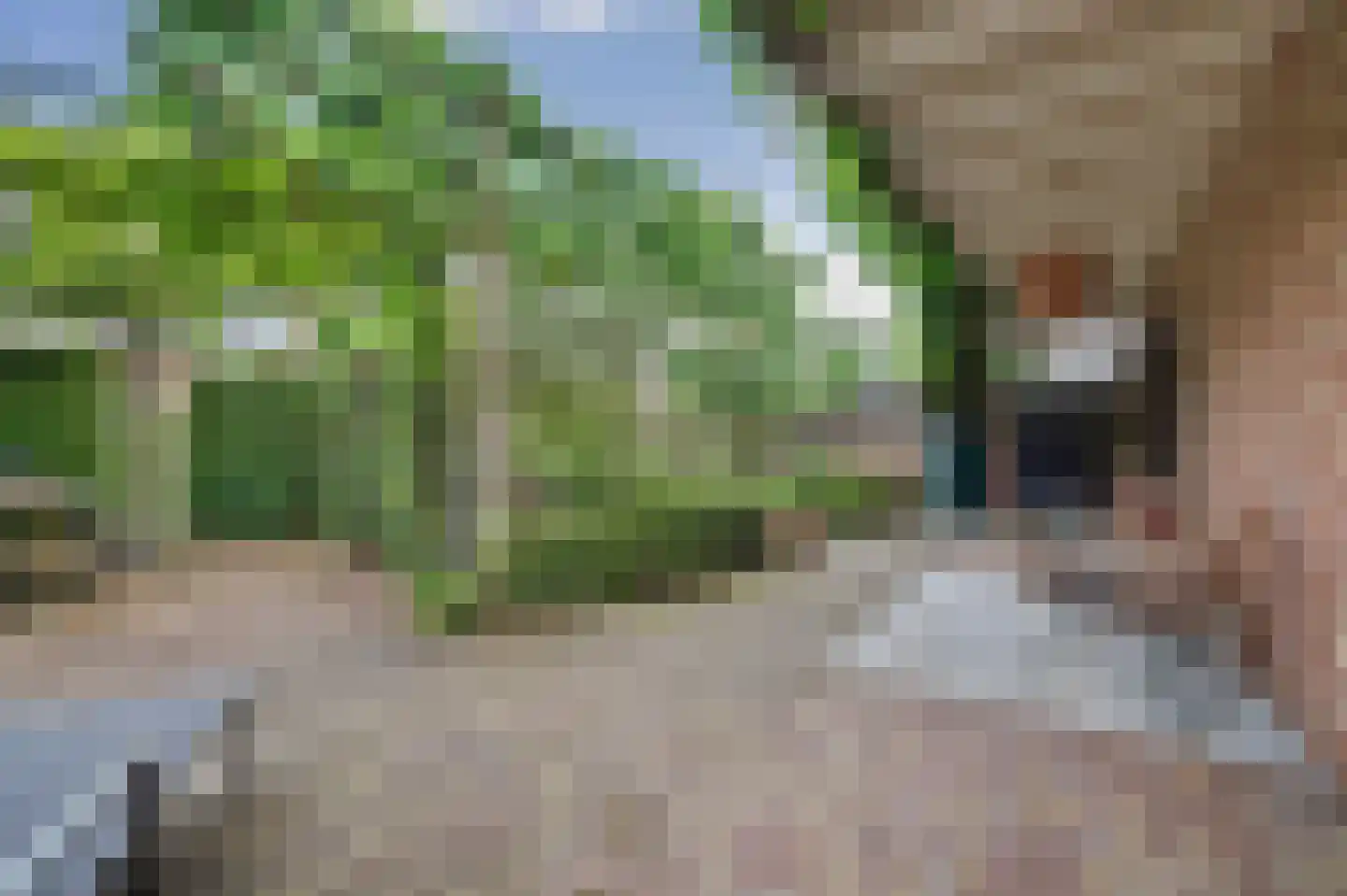 Rubenslaan 15 Drunen thumbnail 50