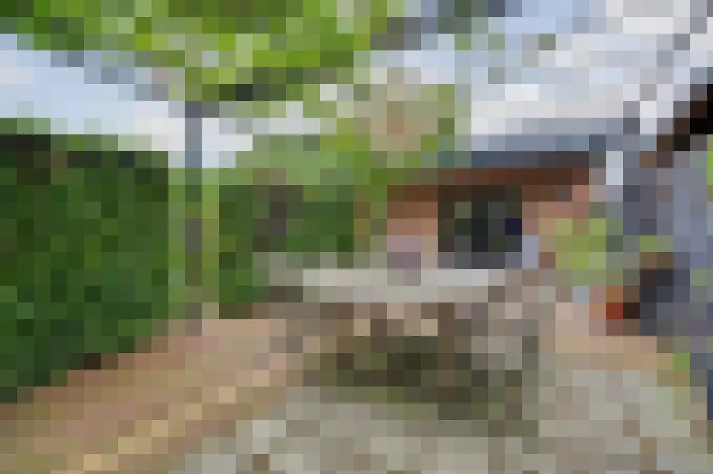 Rubenslaan 15 Drunen thumbnail 51