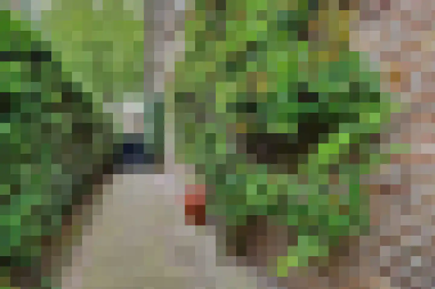 Rubenslaan 15 Drunen thumbnail 62