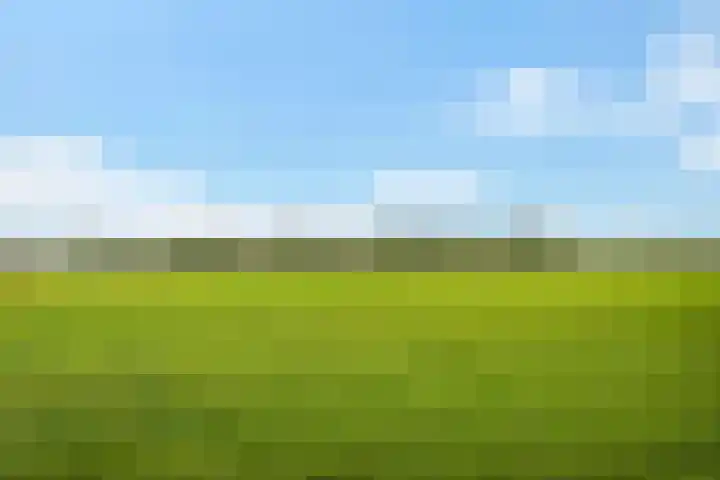 Rubenslaan 156 Soest thumbnail 25