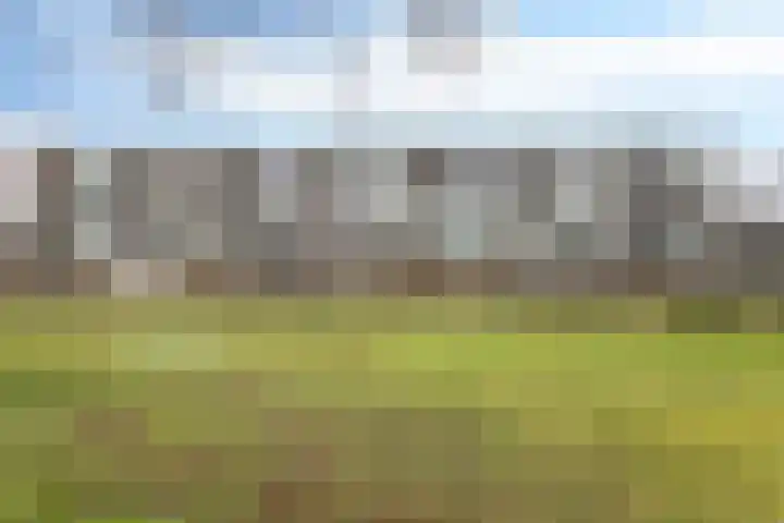 Rubenslaan 156 Soest thumbnail 5