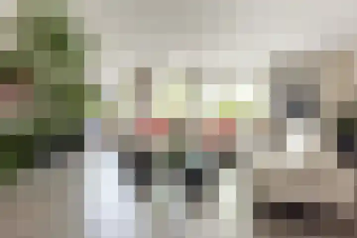 Rubenslaan 157 Bergschenhoek thumbnail 12