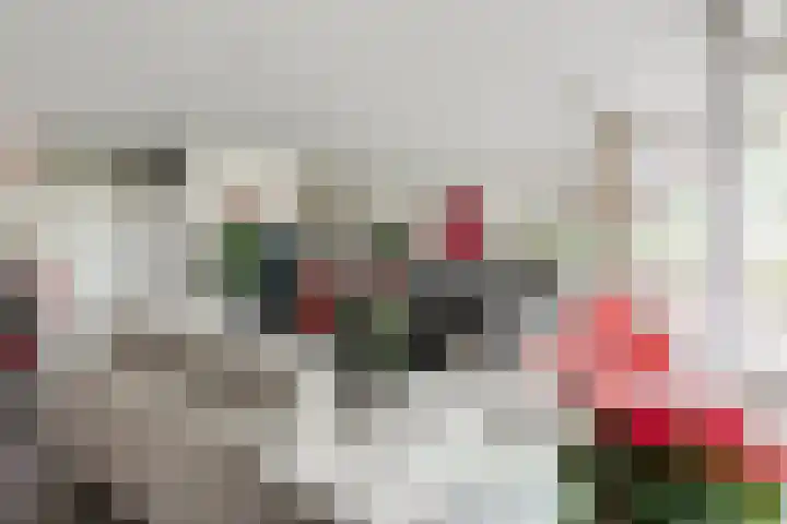 Rubenslaan 157 Bergschenhoek thumbnail 13