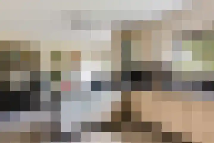 Rubenslaan 157 Bergschenhoek thumbnail 18