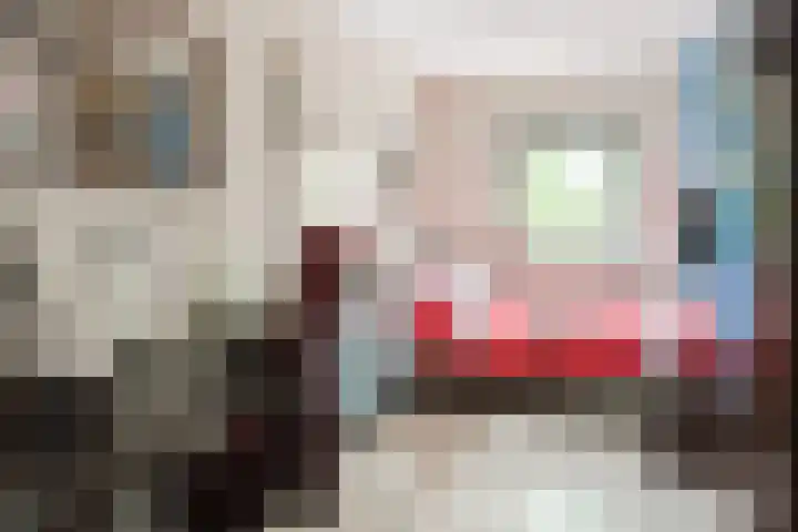 Rubenslaan 157 Bergschenhoek thumbnail 23