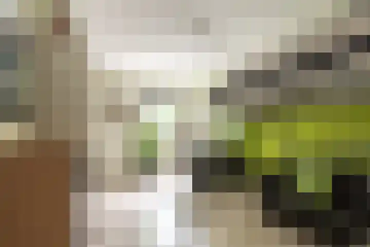Rubenslaan 157 Bergschenhoek thumbnail 24