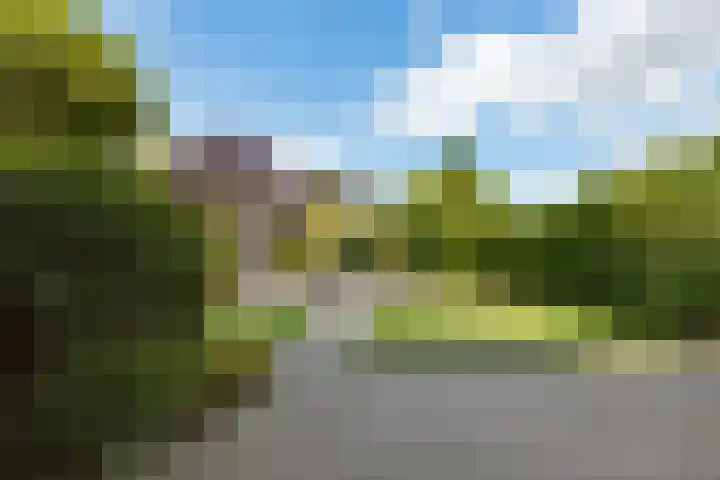 Rubenslaan 157 Bergschenhoek thumbnail 37