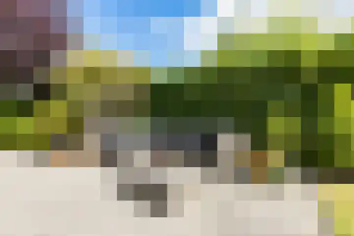 Rubenslaan 157 Bergschenhoek thumbnail 39