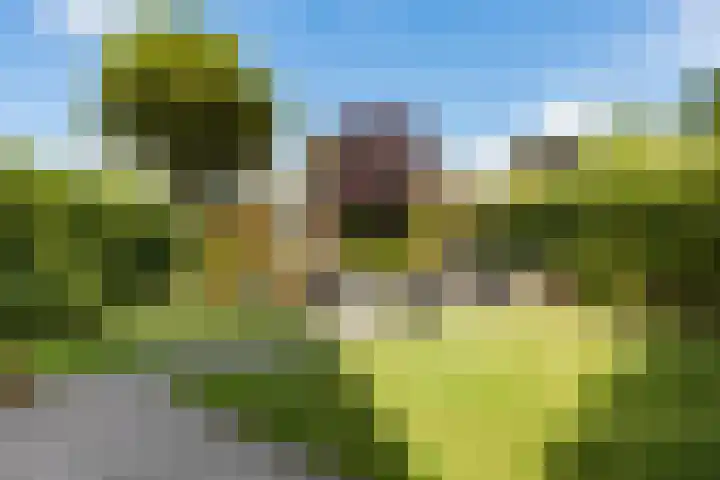 Rubenslaan 157 Bergschenhoek thumbnail 4