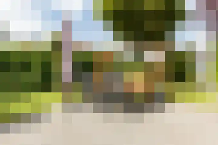 Rubenslaan 157 Bergschenhoek thumbnail 40