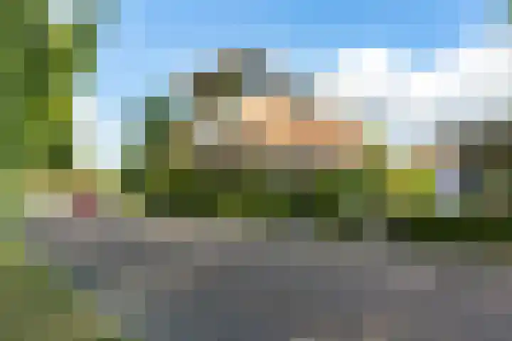 Rubenslaan 157 Bergschenhoek thumbnail 5