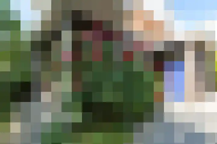 Rubenslaan 157 Bergschenhoek thumbnail 7