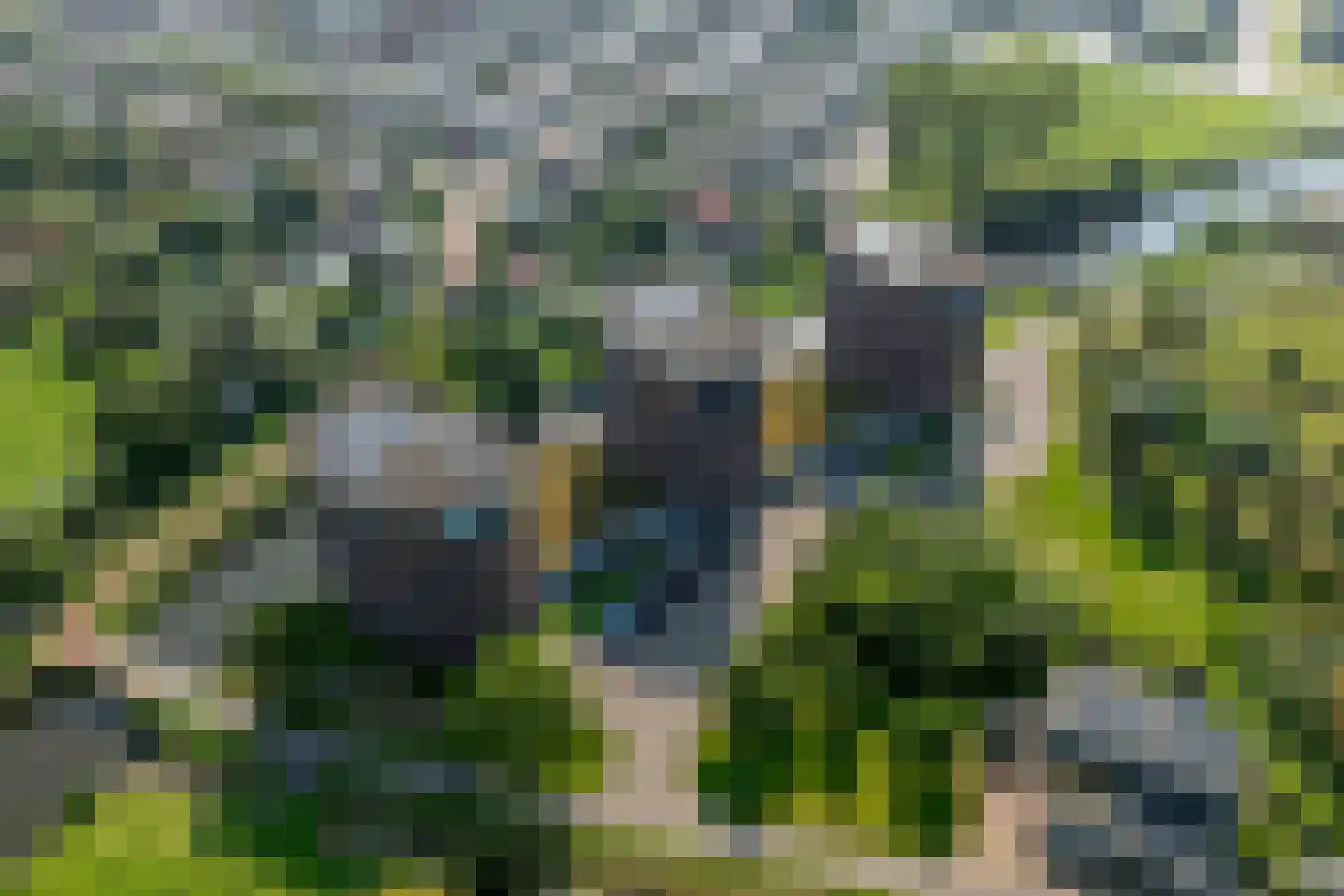 Rubenslaan 166 Vlissingen thumbnail 63