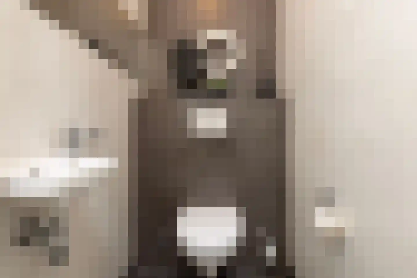 Rubenslaan 18 Lopik thumbnail 30