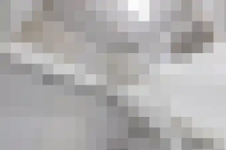 Rubenslaan 18 Lopik thumbnail 31