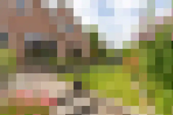Rubenslaan 18 Lopik thumbnail 4