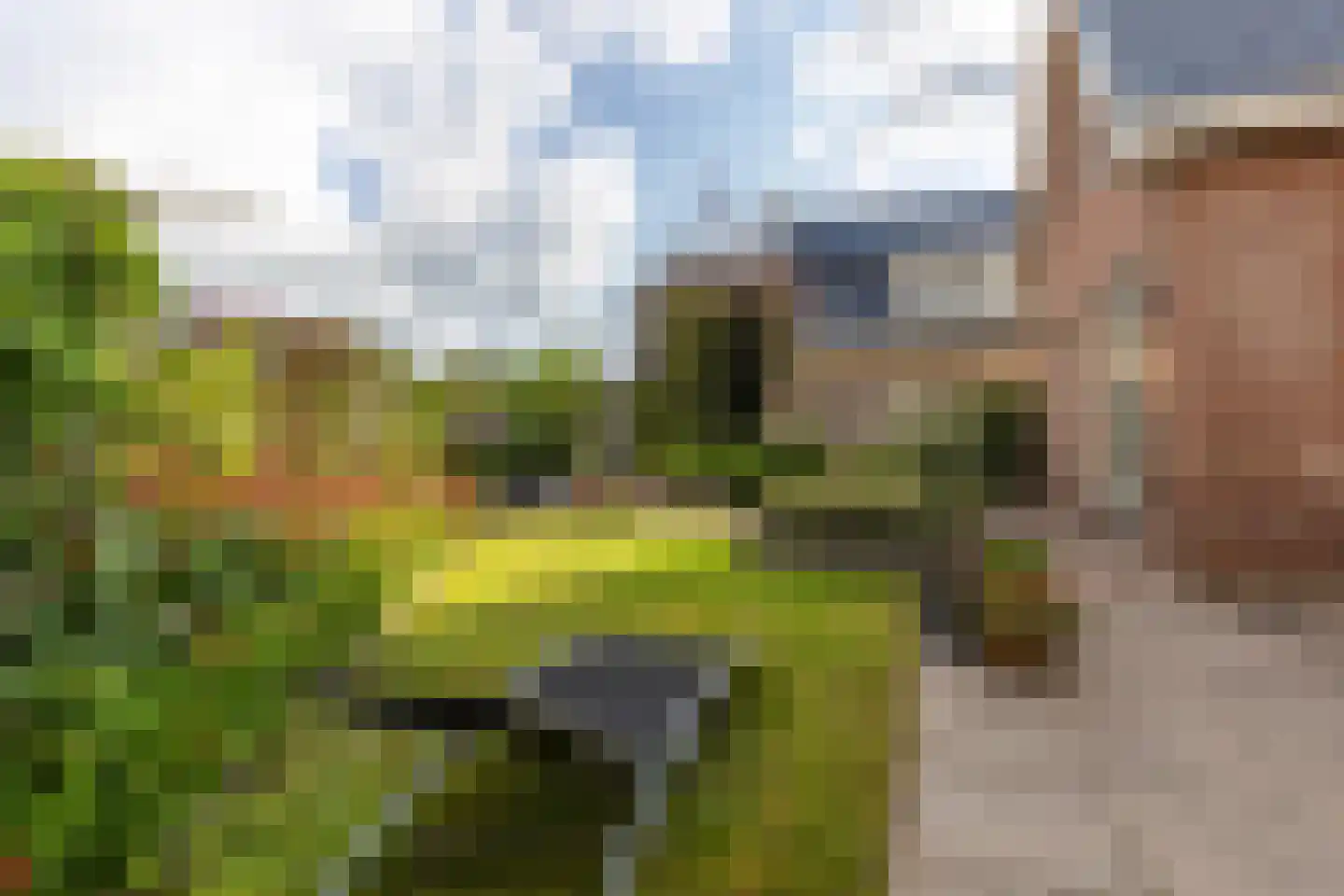 Rubenslaan 18 Lopik thumbnail 58