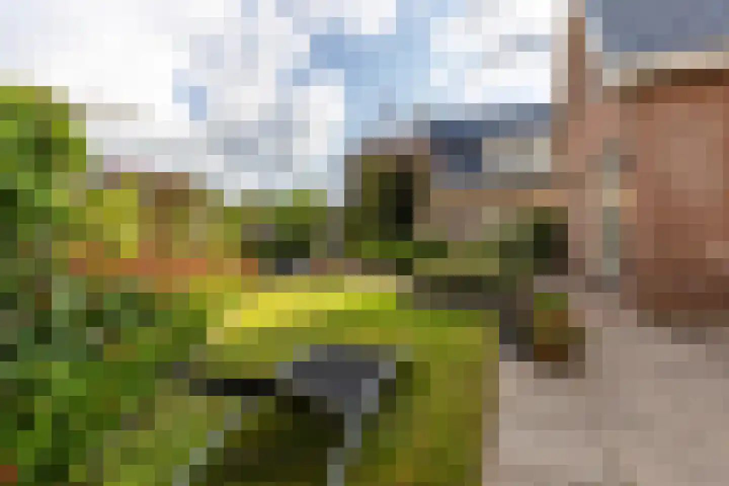 Rubenslaan 18 Lopik thumbnail 59