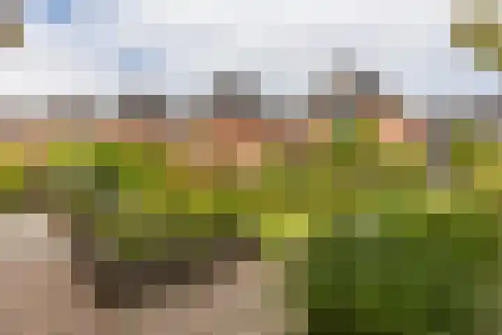 Rubenslaan 18 Lopik thumbnail 60