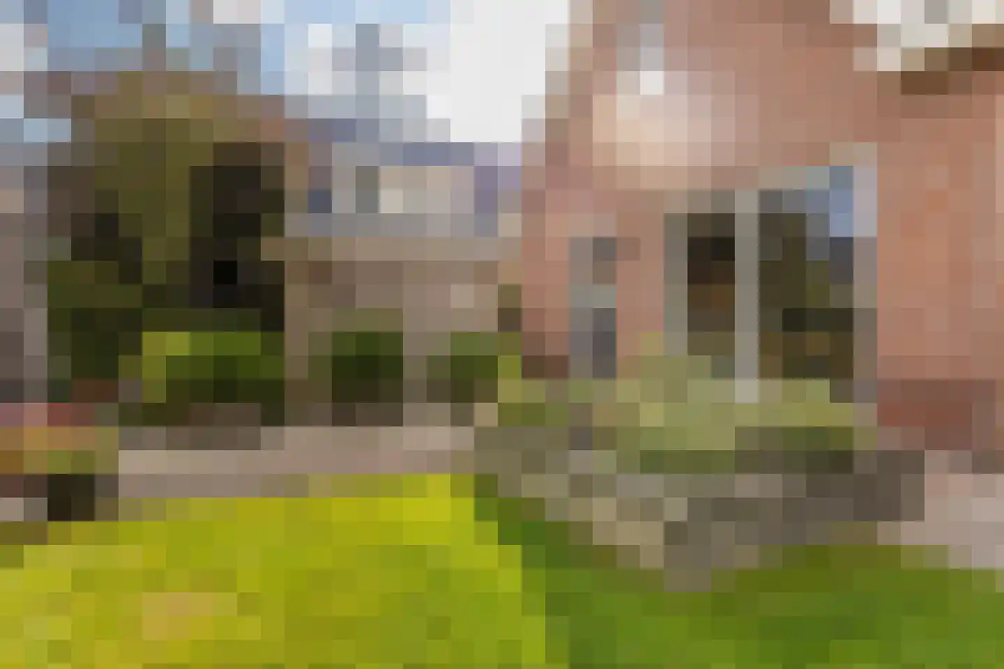 Rubenslaan 18 Lopik thumbnail 60