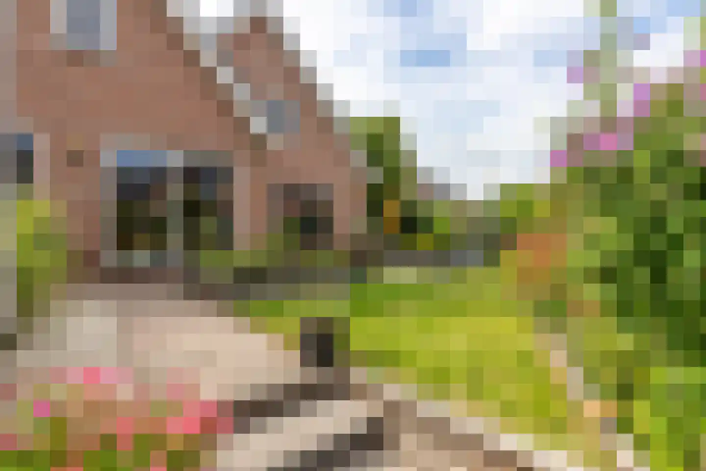 Rubenslaan 18 Lopik thumbnail 67
