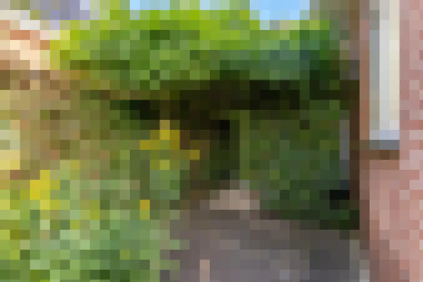 Rubenslaan 18 Lopik thumbnail 75