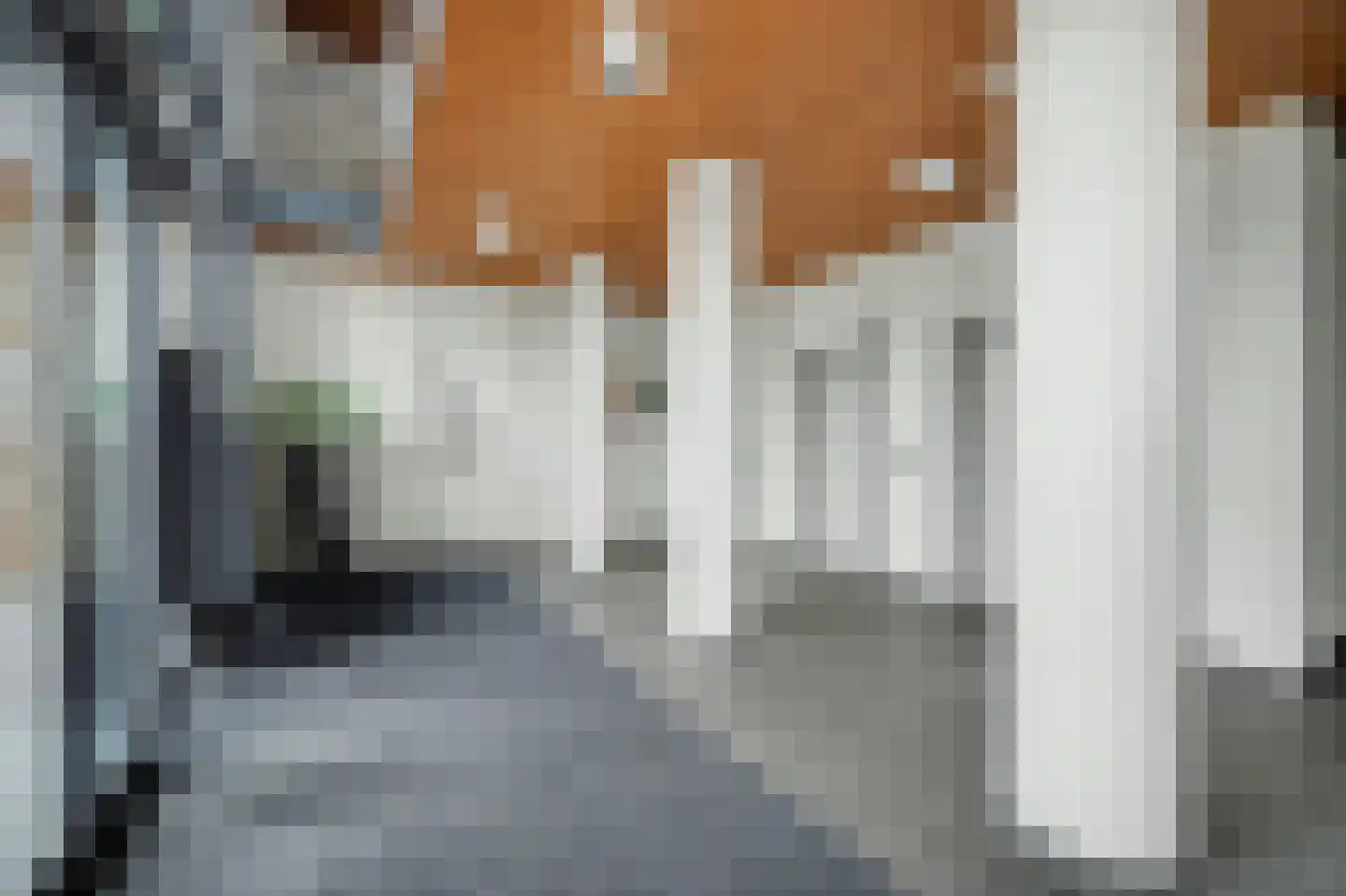 Rubenslaan 18 Vlissingen thumbnail 8