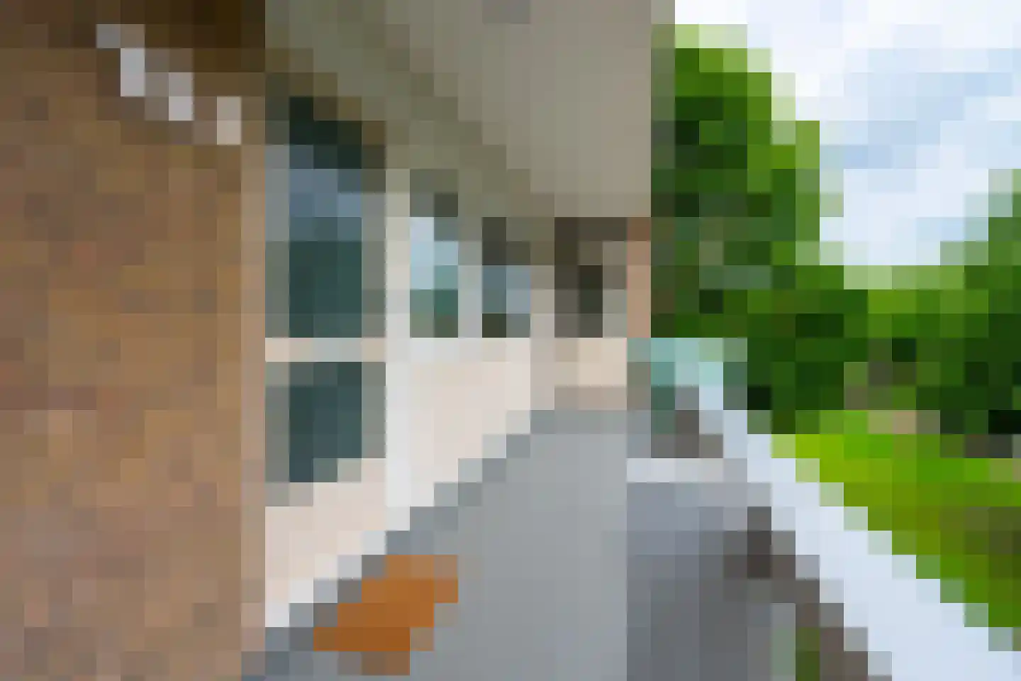 Rubenslaan 192 Soest thumbnail 7