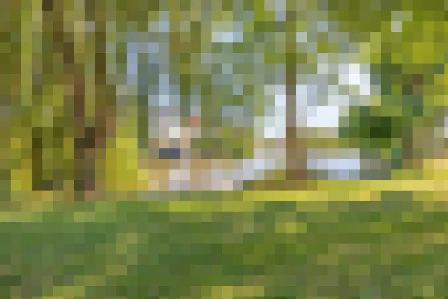 Rubenslaan 195 Bergschenhoek thumbnail 31