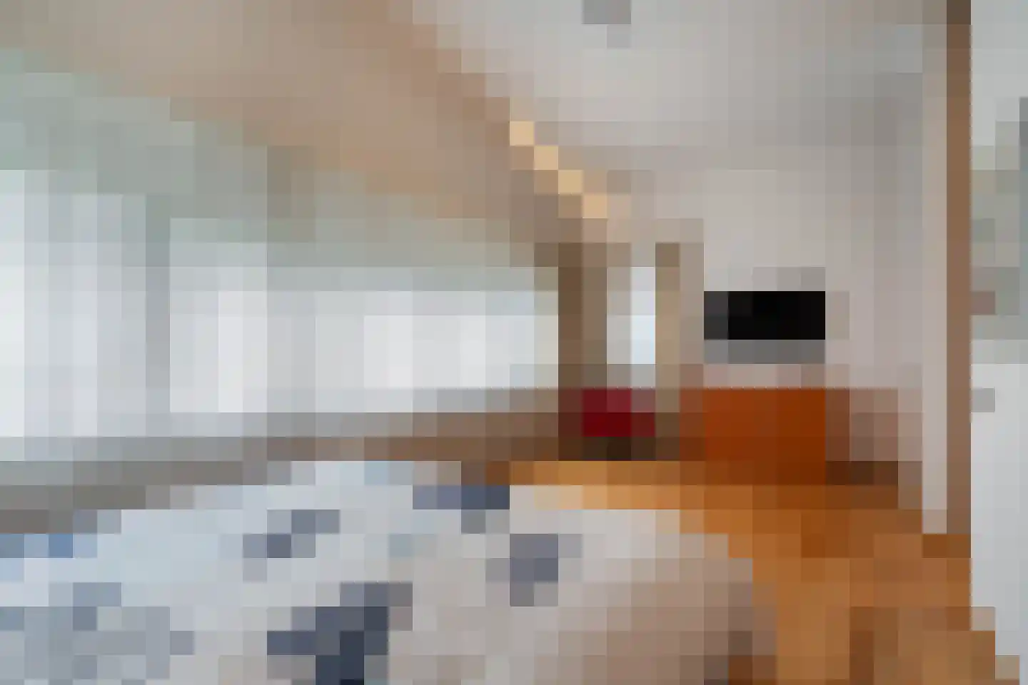 Rubenslaan 2 Weert thumbnail 24