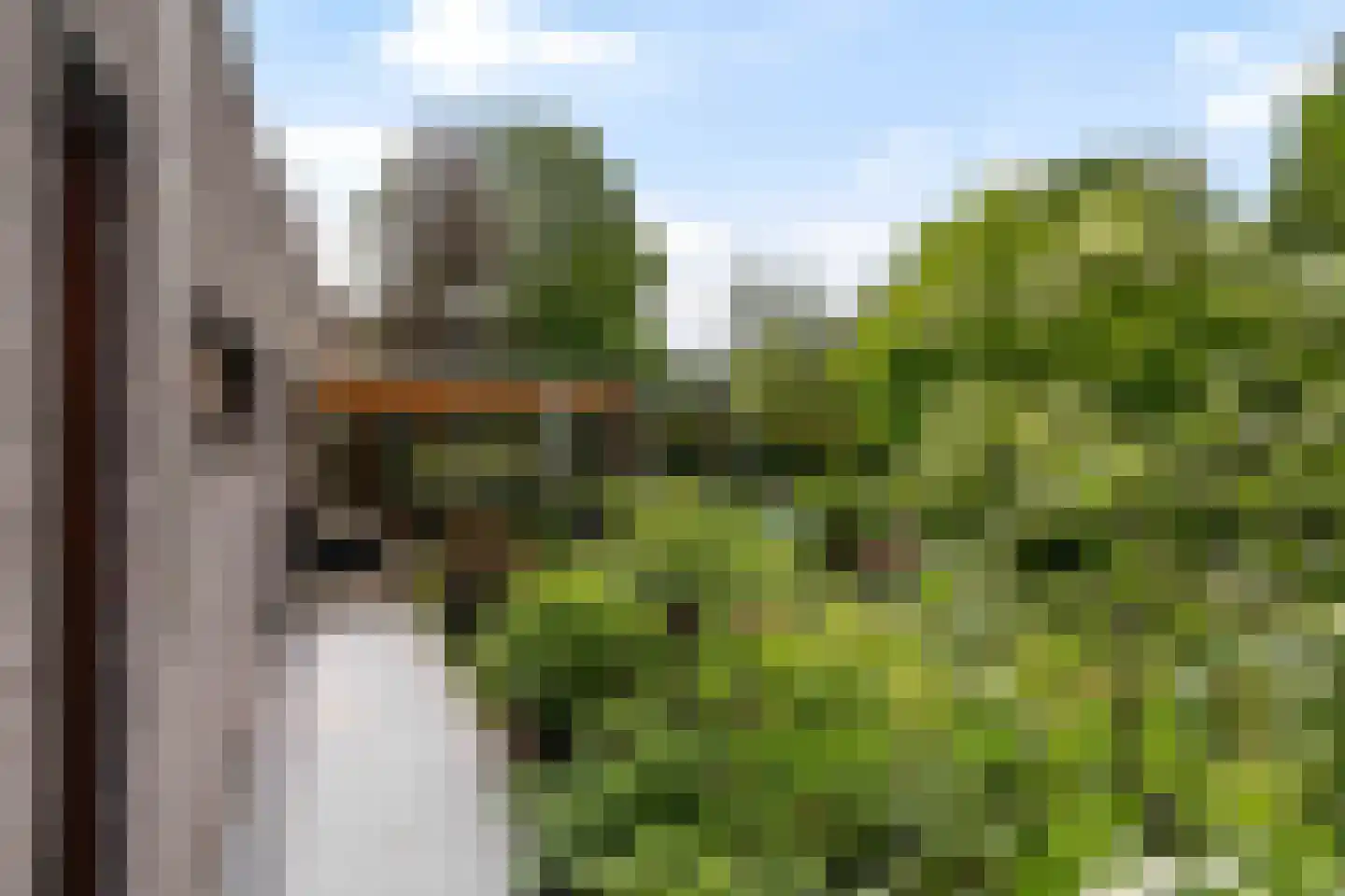 Rubenslaan 2 Weert thumbnail 46