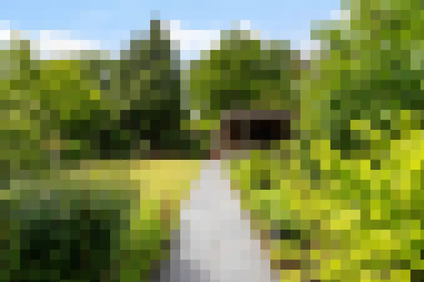 Rubenslaan 2 Weert thumbnail 47