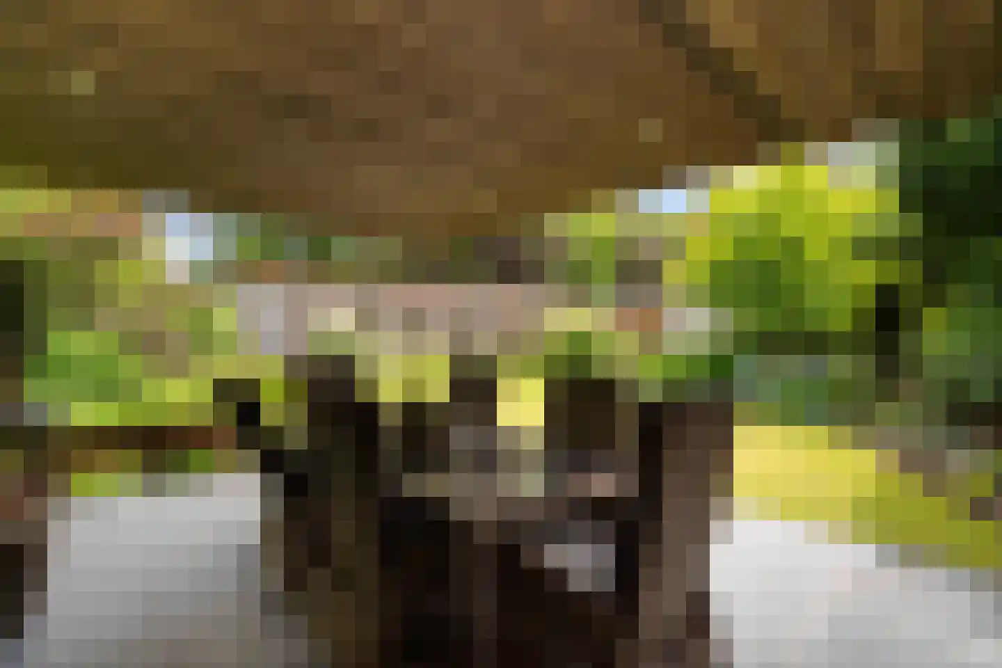 Rubenslaan 2 Weert thumbnail 51