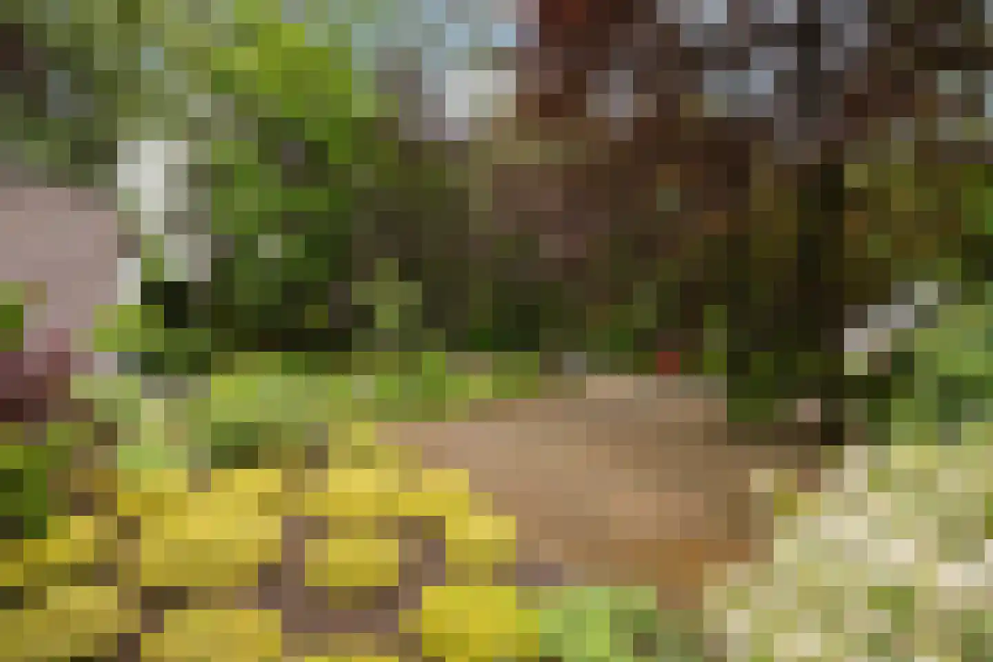 Rubenslaan 2 Weert thumbnail 56