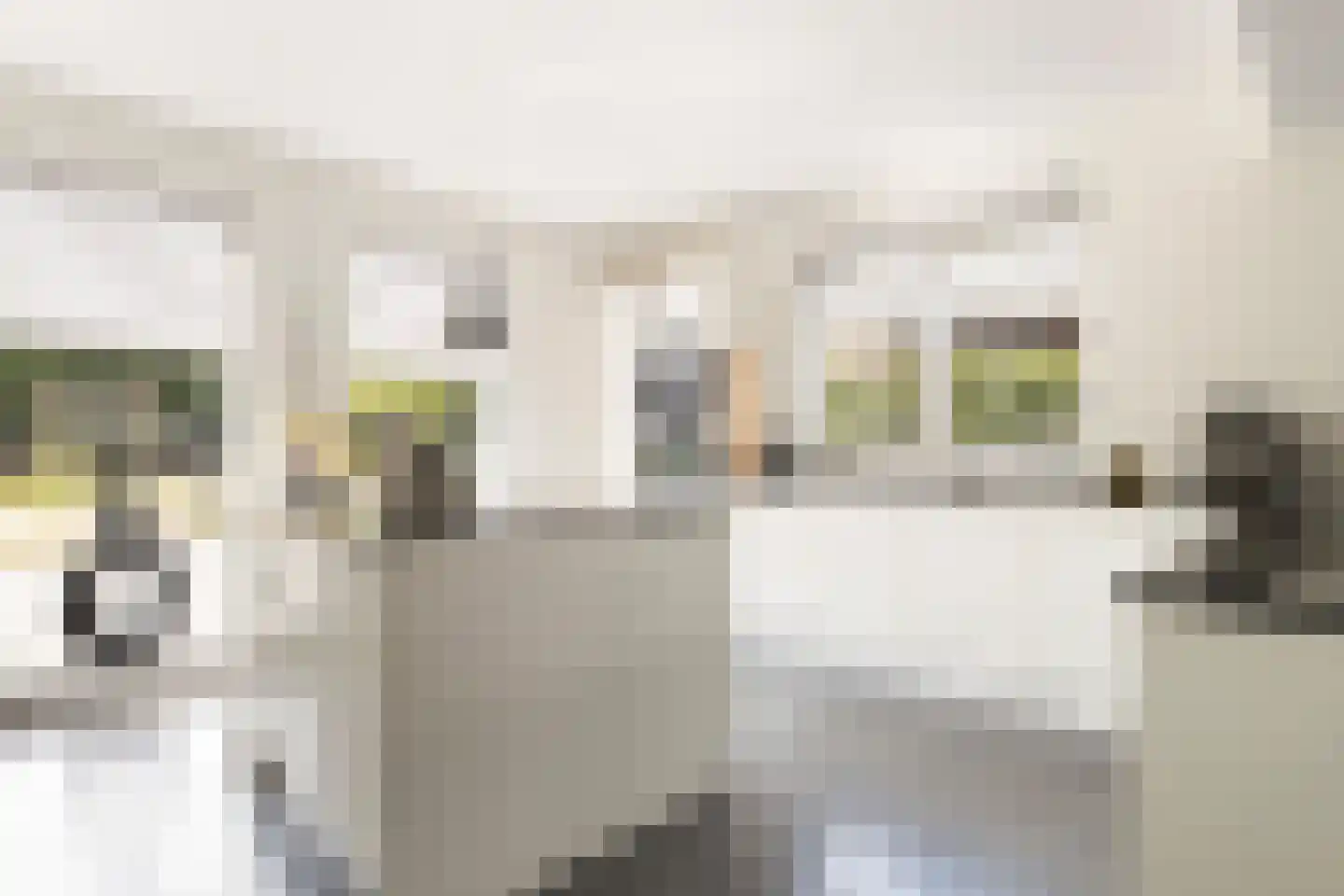 Rubenslaan 20 Lopik thumbnail 10