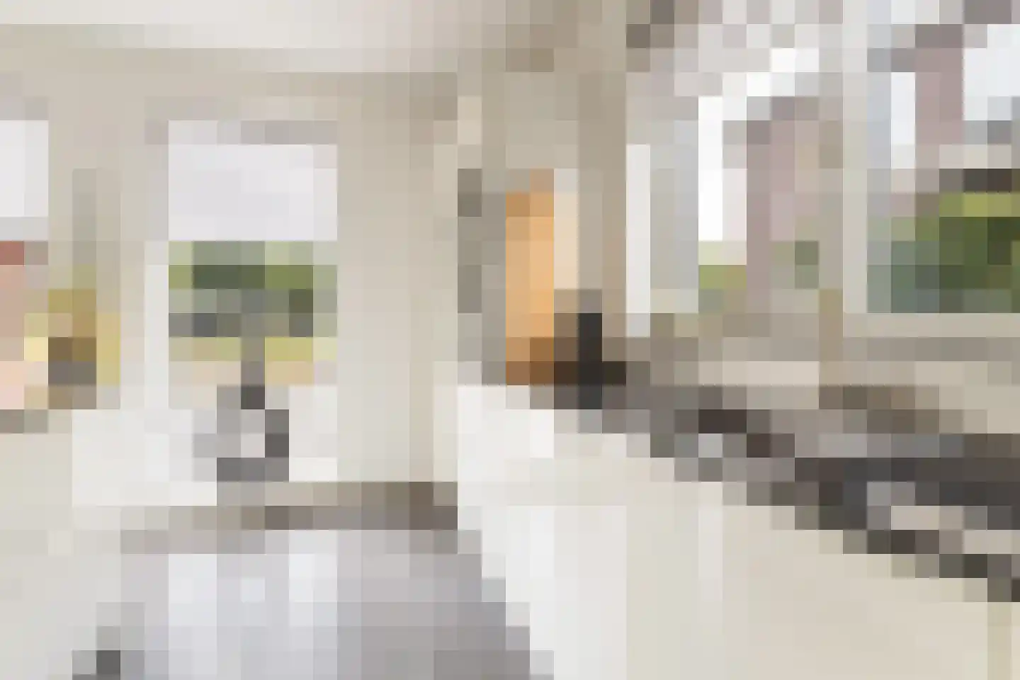 Rubenslaan 20 Lopik thumbnail 15