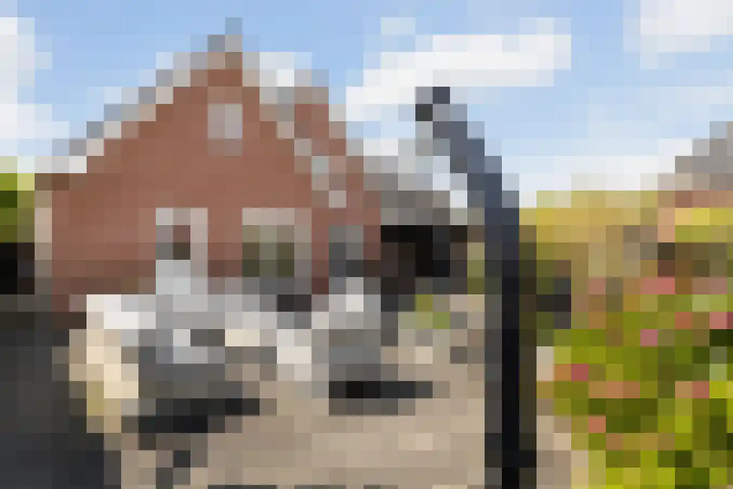 Rubenslaan 20 Lopik thumbnail 4