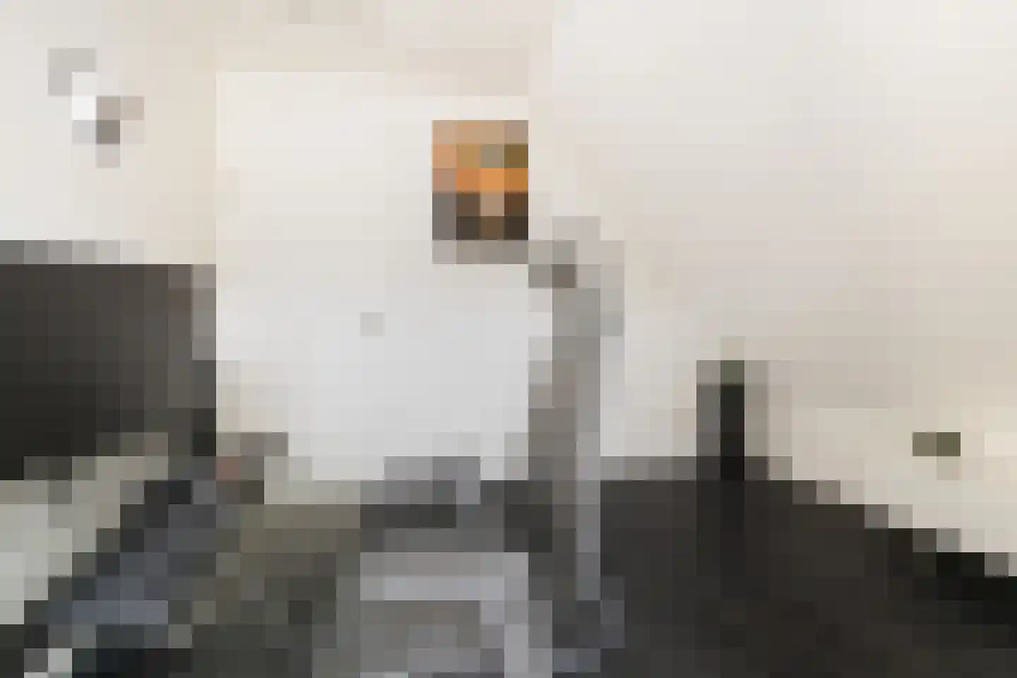 Rubenslaan 20 Lopik thumbnail 45
