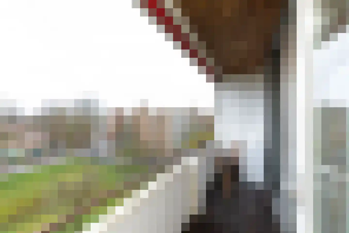 Rubenslaan 212 Soest thumbnail 11
