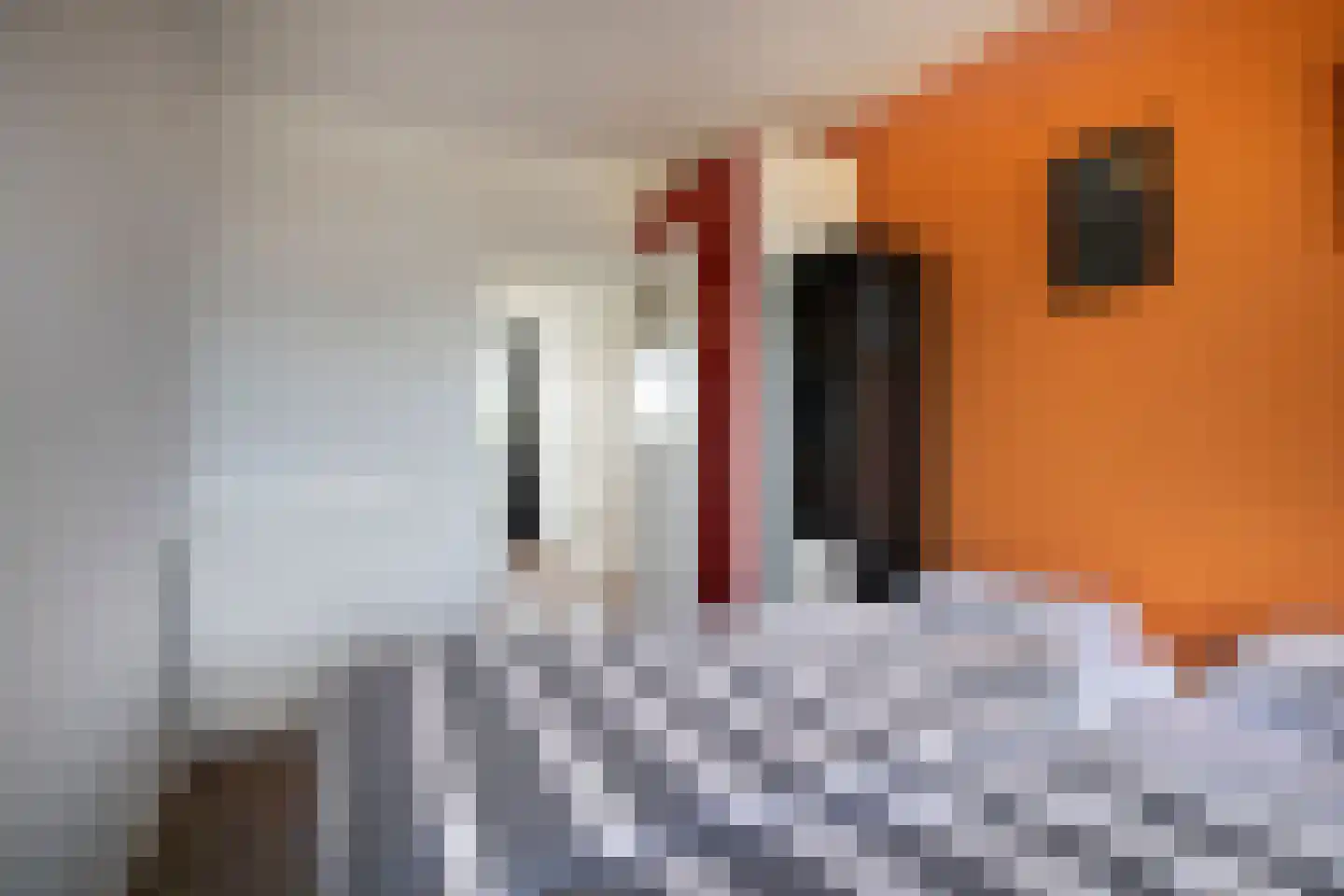 Rubenslaan 216 Soest thumbnail 23
