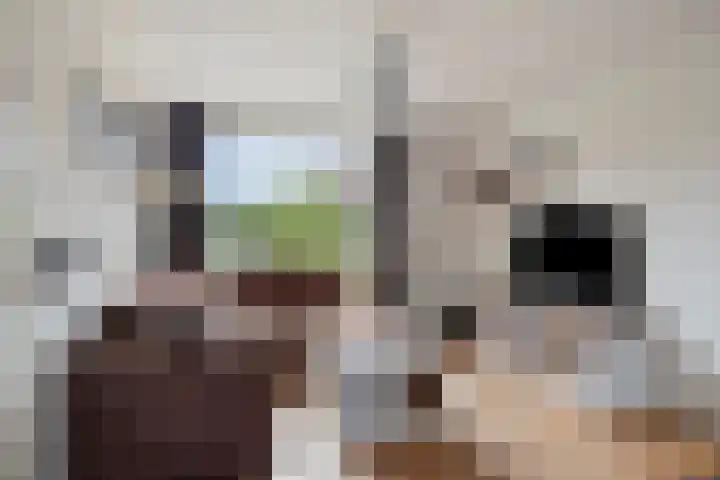 Rubenslaan 25 Scherpenzeel foto 2