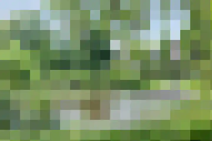 Rubenslaan 25 Scherpenzeel thumbnail 40