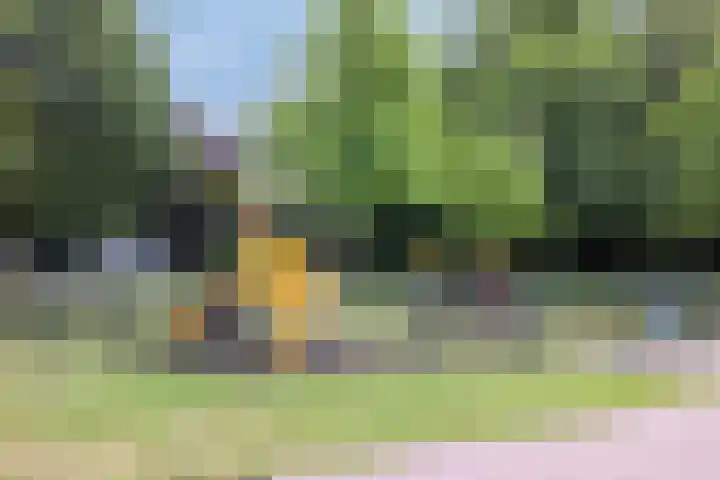 Rubenslaan 25 Scherpenzeel thumbnail 41