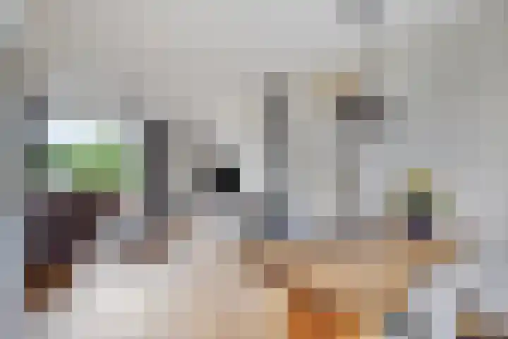 Rubenslaan 25 Scherpenzeel thumbnail 6