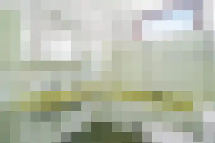 Rubenslaan 27 Woudenberg thumbnail 23